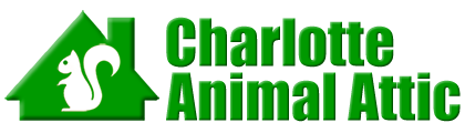 Charlotte Animal Attic